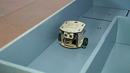 На два дня Рубцовск превратился в столицу робототехники