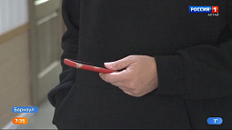 Семья из Барнаула хотела вылечить свою собаку и потеряла больше 35 тысяч рублей