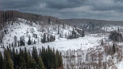 Почему национальный парк «Салаир» стоит посетить именно зимой?