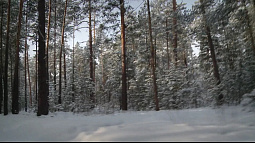 Холодный фронт задержится в горах Алтая, придёт арктический воздух