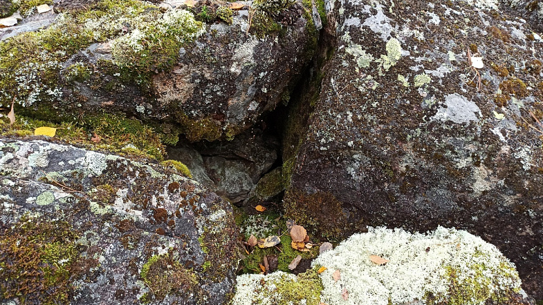 В Алтайском крае туристы смогут увидеть, как «текут» каменные реки
