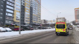 В Алтайском крае собака прокусила череп десятимесячному ребёнку