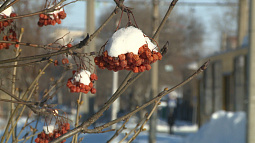В Алтайском крае похолодает до -30 °С