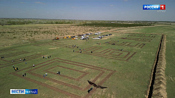 Геоглиф из 15 тысяч сосен появился сегодня в Рубцовском районе