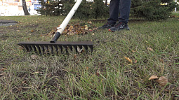 В Барнауле отменили общегородской субботник