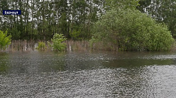 В барнаульском районе Затон ввели режим повышенной готовности