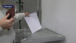 По итогам выборов в Алтайском крае «Единая Россия» получила наибольшую долю – 402 мандата