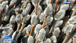 Православные христиане готовятся к Вербному воскресенью, одному из важнейших праздников