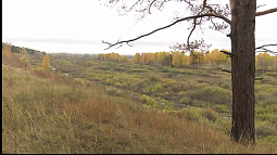 В заказниках края продолжается период тишины