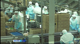 7 млрд рублей вложили местные производители продуктов питания в развитие и модернизацию технологической базы