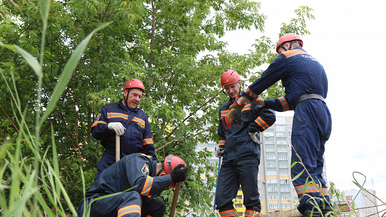 В Барнауле сотрудники МЧС спасли из бетонной западни четверых щенков