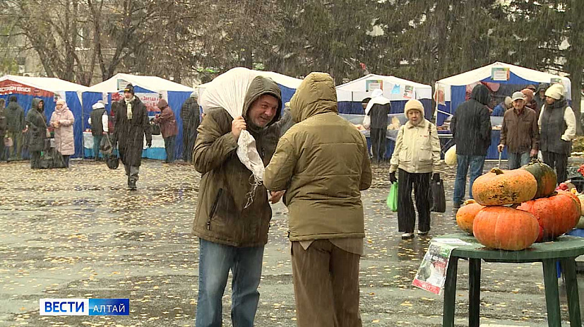 Мокрый снег не стал помехой для субботних продовольственных ярмарок в Барнауле