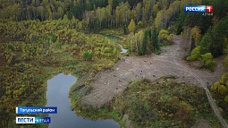 2600 молодых кедров высадили активисты в нацпарке «Салаир» в Тогульском районе