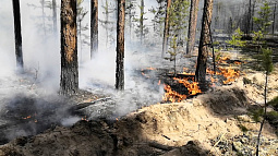 Ущерб от предыдущего пожара в Егорьевском районе ещё подсчитывается