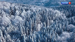 Юг Сибири контролирует обширный антициклон