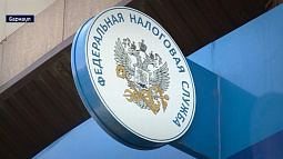 В Алтайском крае стартовала очередная декларационная кампания