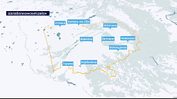 В Алтайском крае выявлен уже девятый случай бешенства в этом году