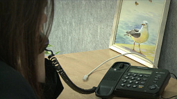 На Алтае появится чат-бот – аналог «детского телефона доверия»