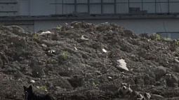 В Бийске решили проблему нехватки мест на городских кладбищах