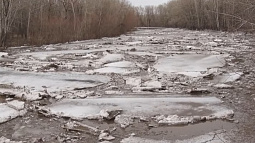 Из-за резкого повышения уровня воды в реках Чумыш и Чапша  может подтопить сёла Красногорское и  Ельцовку