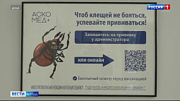 За неделю от клещей пострадало почти 500 жителей края