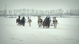 1,3 миллиона рублей разыграли на конноспортивном празднике в Новотырышкино