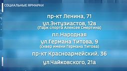 Свежий мёд и урожай с полей: сегодня в Барнауле пройдёт первая осенняя продовольственная ярмарка