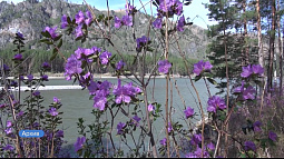 Антициклон 17 апреля переместится на юг Западной Сибири