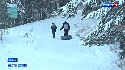 В Бийске два ребёнка попали в больницу после катания с горки на «бубликах»