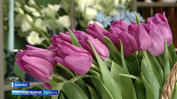 Сколько стоят в Барнауле праздничные тюльпаны и много ли можно заработать на цветах?