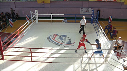 В Рубцовске подвели итоги турнира памяти тренеров и боксёров Алтая