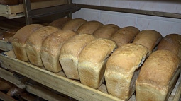 Алтайские производители хлеба готовят документы на получение господдержки
