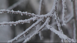 Обширный циклон 16 декабря медленно двигается по территории Западной Сибири на восток