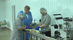 Завод по переработке молока открылся в посёлке 12 лет Октября Поспелихинского района