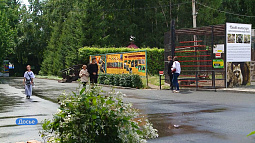 Барнаульский парк «Лесная сказка» объявил творческий конкурс в канун своего 40-летия