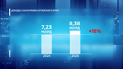  Почти 8,5 млрд руб. с начала года заработали санатории Алтайского края