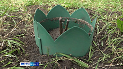 Барнаульцы облагородили один из участков около кинотеатра «Россия»