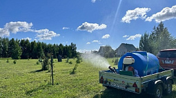 Более 180 гектаров в парках  и детских лагерях в крае обработано от комаров и мошек 