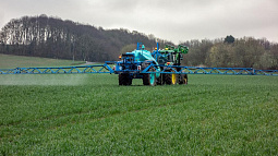 Луговой мотылёк обнаружен в 36 районах  края