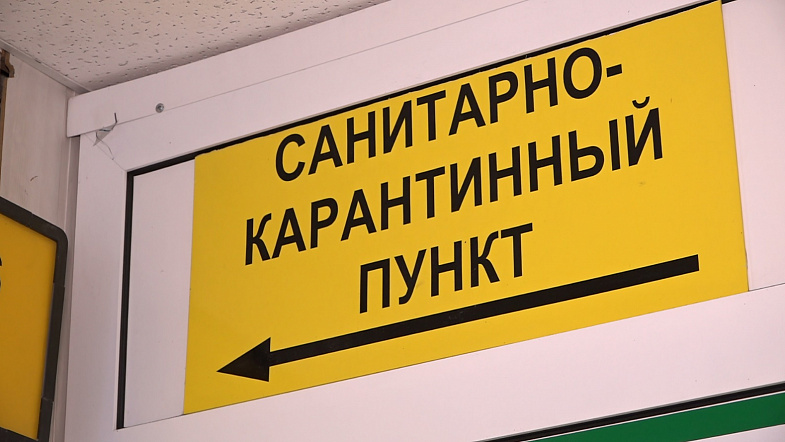 В Алтайском крае 45 человек взяты под наблюдение в связи с коронавирусом