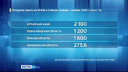 Аграрии Сибири в этом году отгрузили вдвое больше зерна, чем в 2024 году