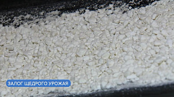 Правительство до 1 мая продлило запрет на экспорт из России аммиачной селитры