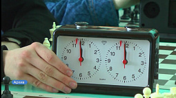 В будущем году в регионе запустят пилотный проект «Шахматы в детских садах»