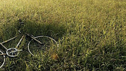 В Бийске передано  в суд дело о похищении школьницы