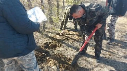 Опасного вредителя хвойных деревьев выявили в Ключевском лесничестве