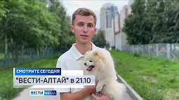 В России растёт число туристов, которые путешествуют с питомцами
