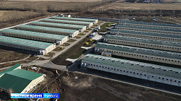 Более миллиарда рублей в развитие агробизнеса на Алтае инвестирует группа компаний «Черкизово»