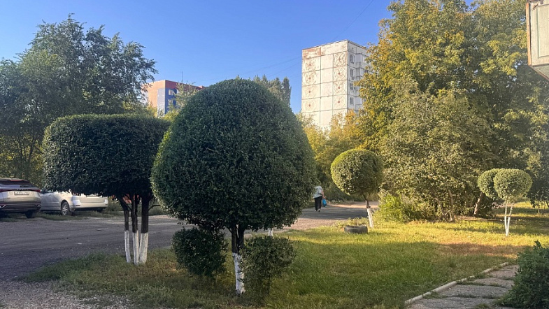 Рубцовск готовится к ренессансу 