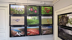 В краеведческом музее открылась фотовыставка «Живой природе – живое участие»