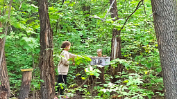 В барнаульском парке Юбилейный стало много белок